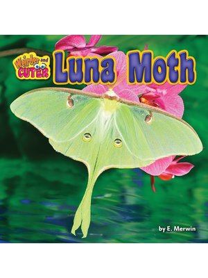 cover image of Luna Moth
